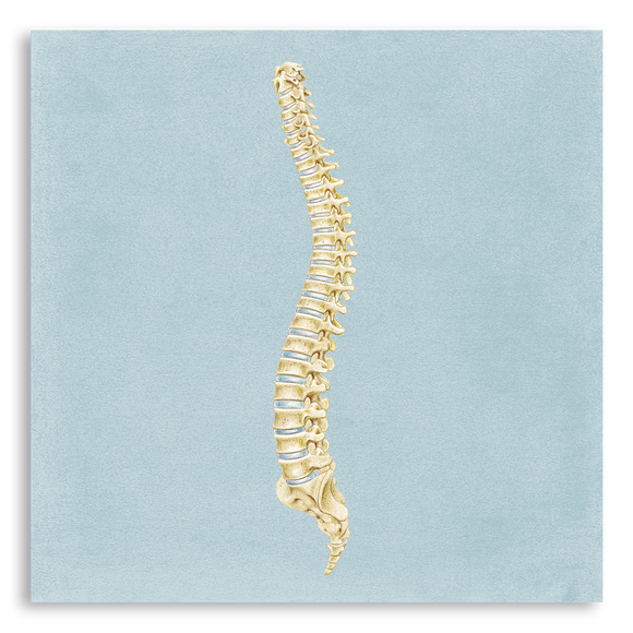 Art Print-Spine