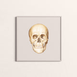 Art Print-Skull Facade